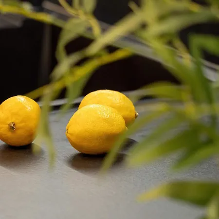 Stylish With Parking Next To Manufaktura By Rent Like * Łódź